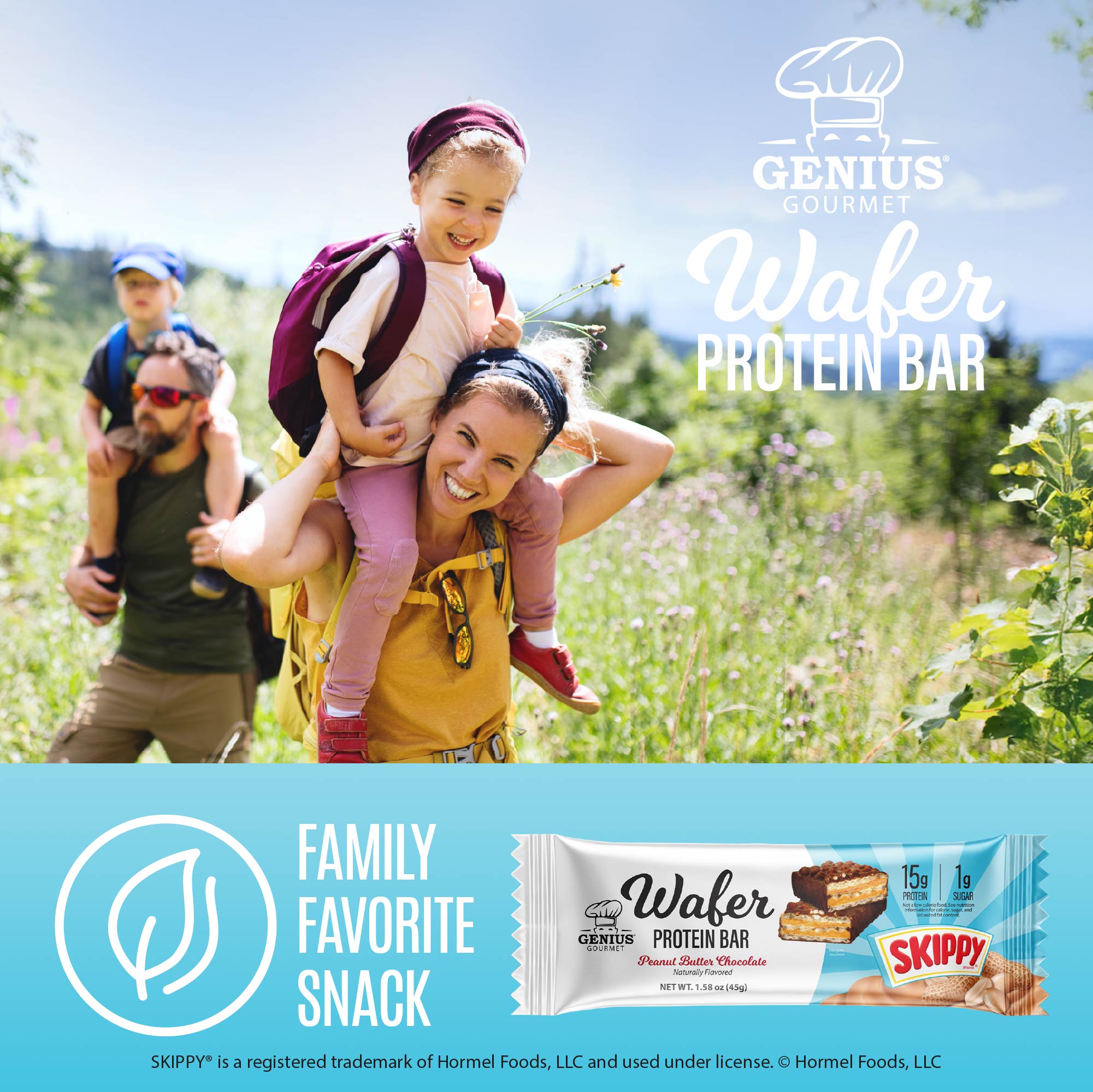 Wafer Protein Bar